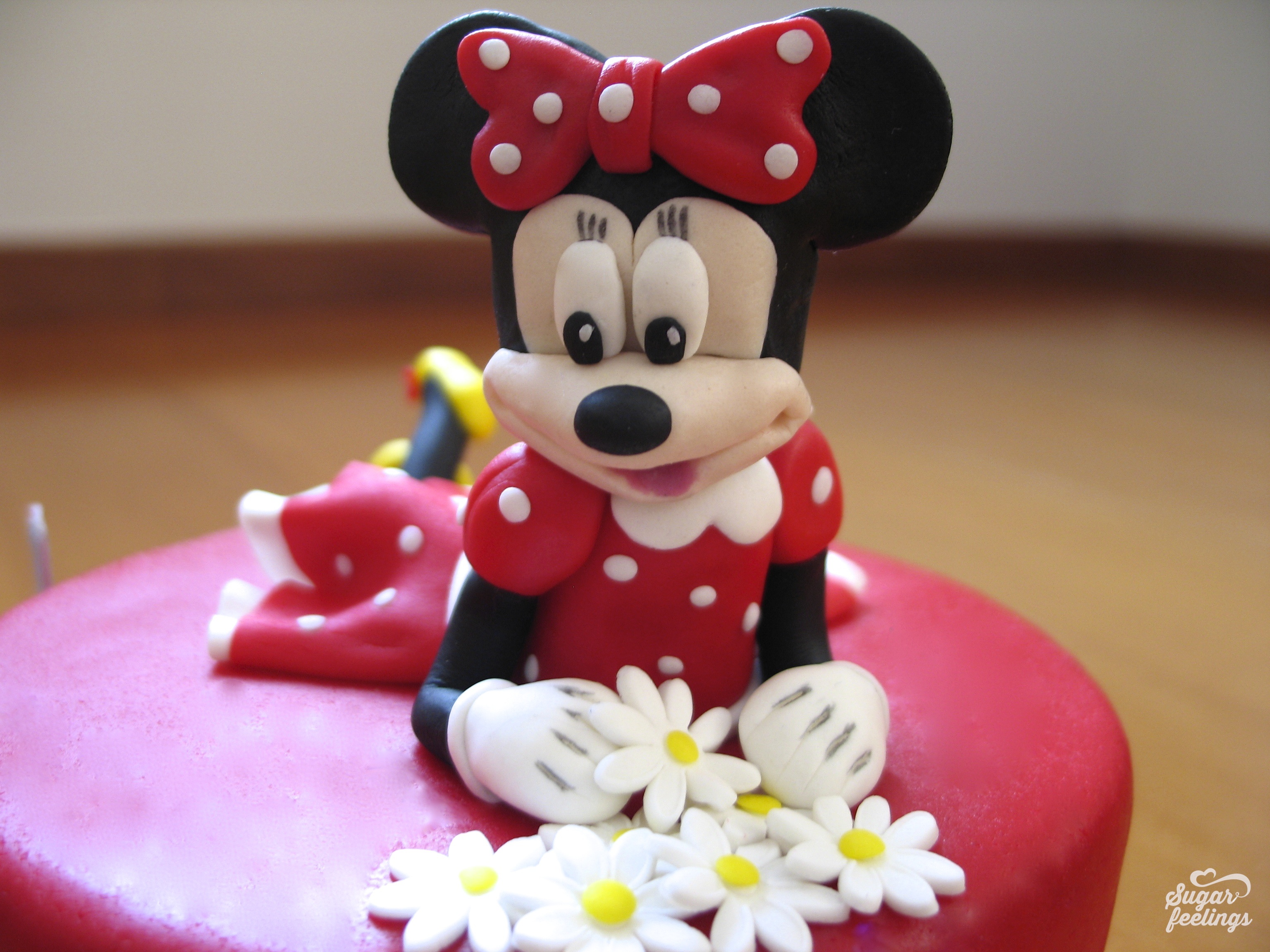 Minnie & flowers