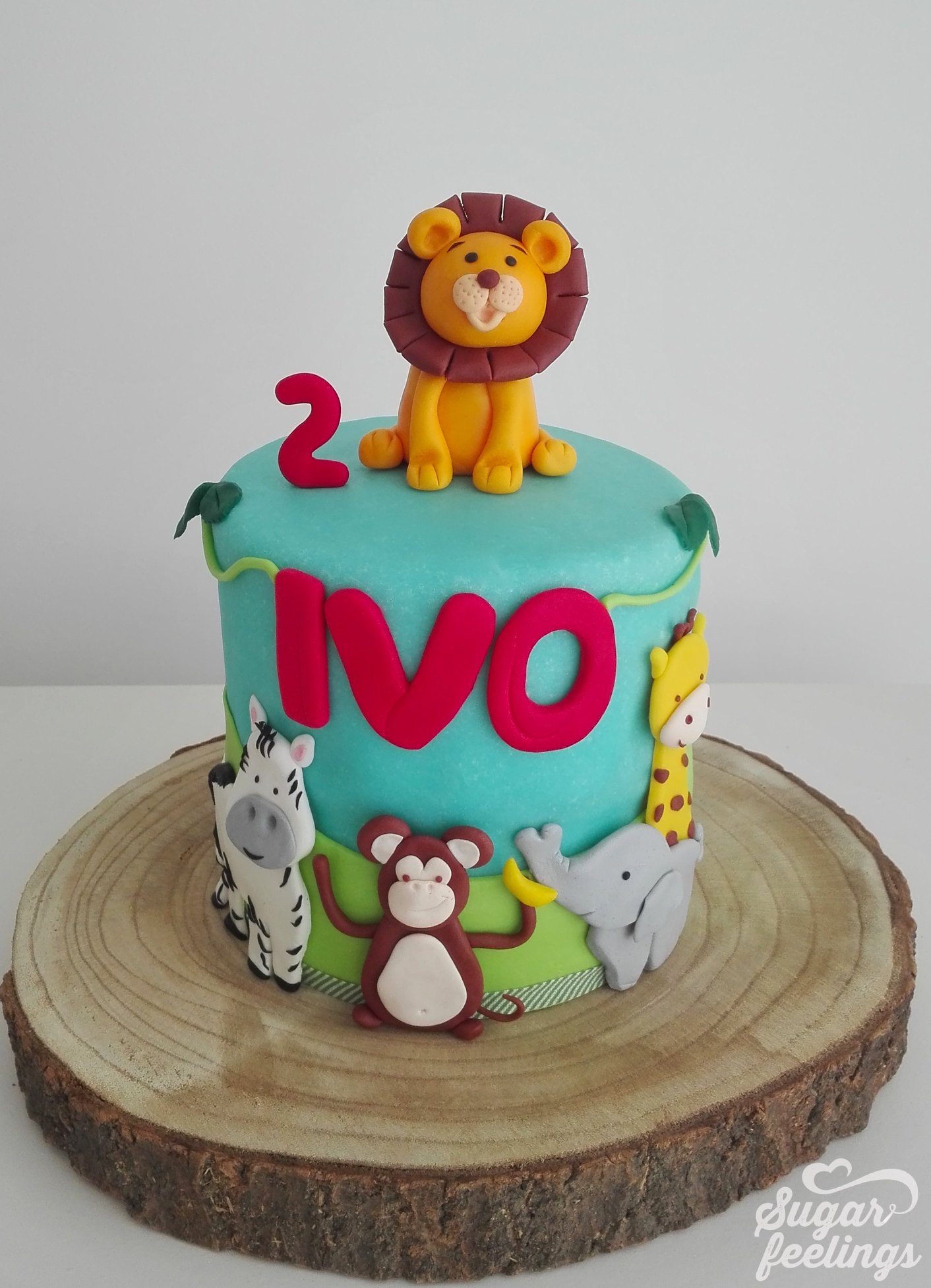 Animais da selva – Menino