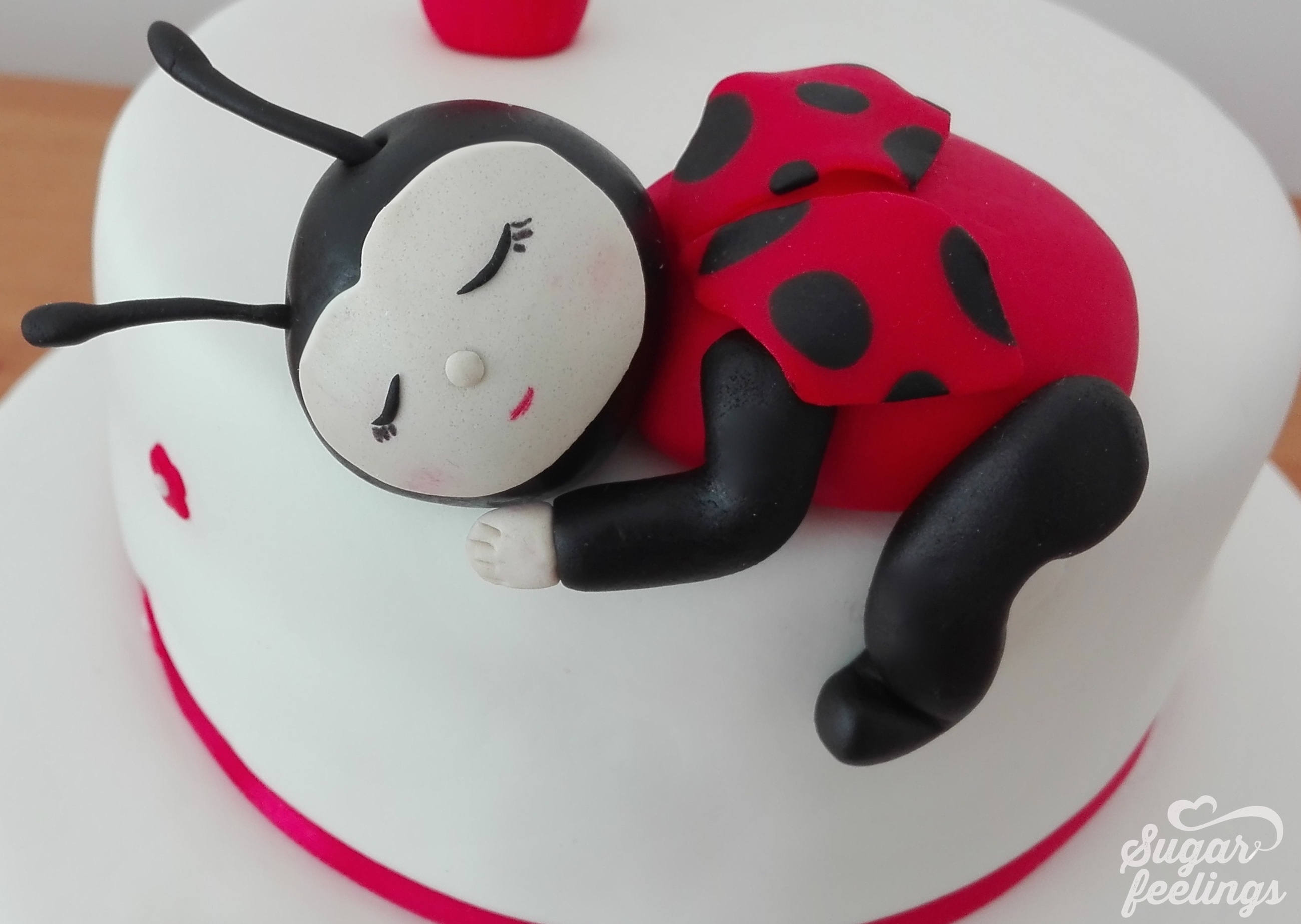 1º aniversário “Joaninha”